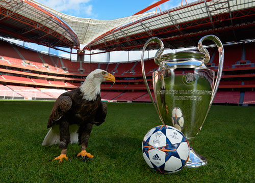 官方建议优 官方建议优